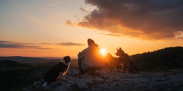 Featured image for How to Prepare for Your First Landscape Photography Hike