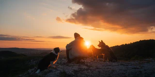 A man with two dogs on Farkas Hill in Budaörs.