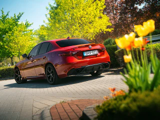 Piros Alfa Romeo Giulia egy parkosított beállón, sárga tulipánokkal az előtérben.