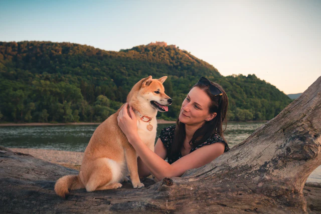 Nő és shiba inu kutyája meghitt portréja uszadékfán ülve, vízparti naplementében