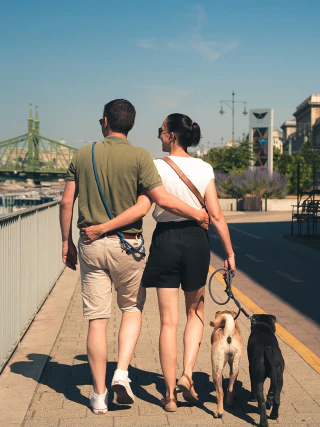 Pár hátulról fotózva, két kutyával sétál a budapesti rakparton